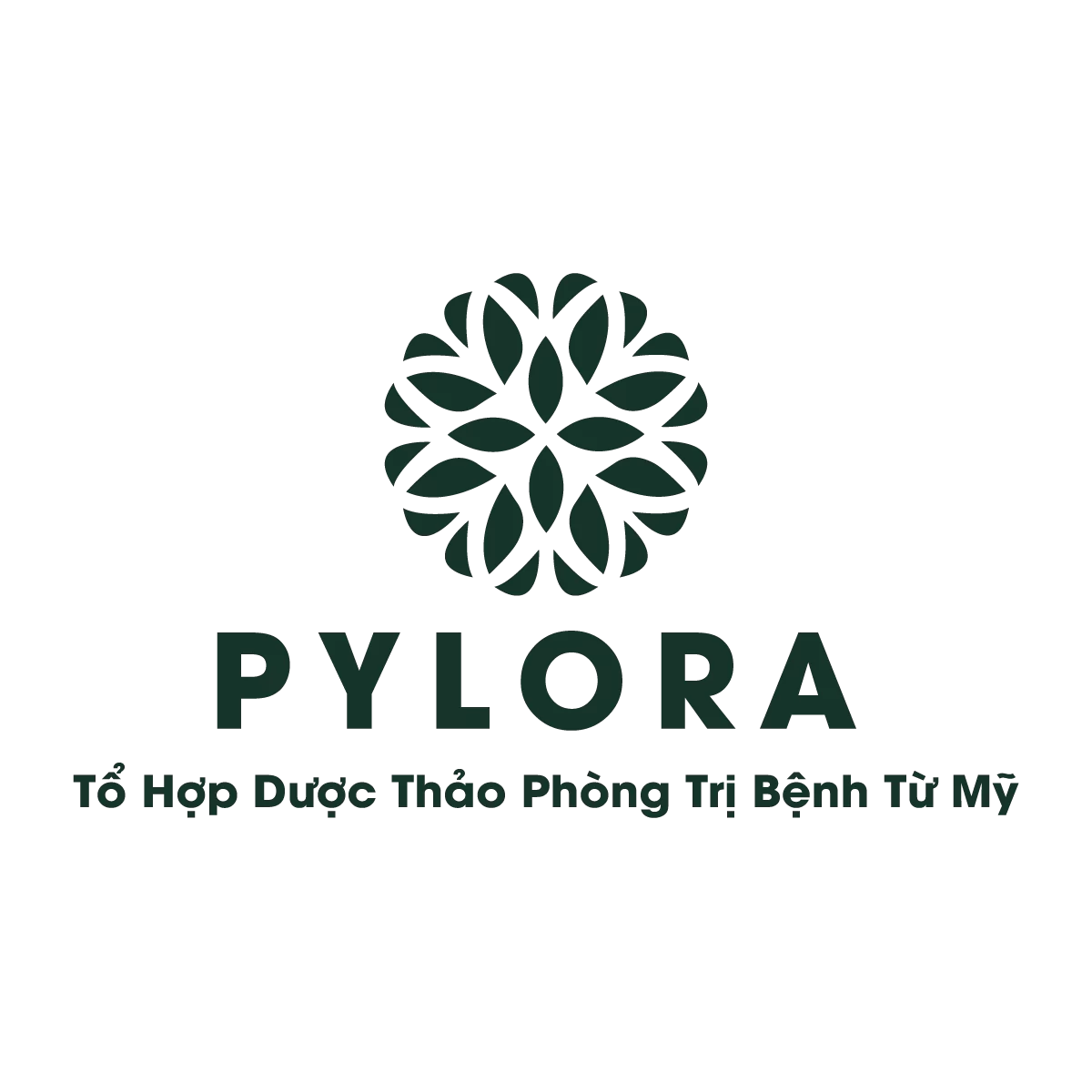 Logo 6