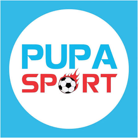 Logo 15